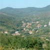 Nemzeti Zarándoklat 2009.