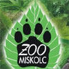 Jelentkezz a Zoo-Táborba!