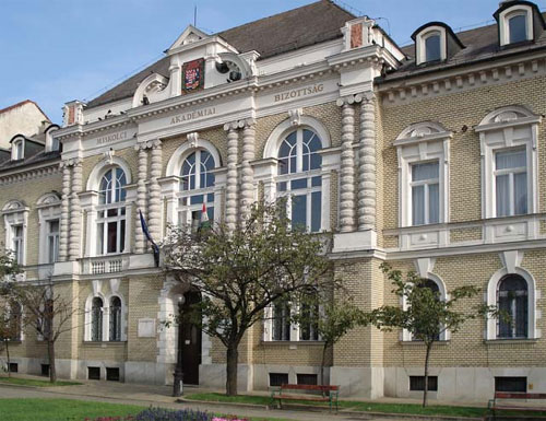 Bizottság