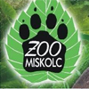 Bérletes totó-megfejtők a Miskolc Zoo-ban