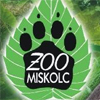 Állatok világnapja Miskolcon