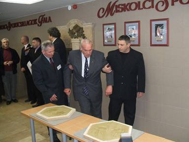 Miskolci Sportcsillagok Fala 