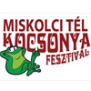 Külföldi vendégek a Miskolci Kocsonyafesztiválon