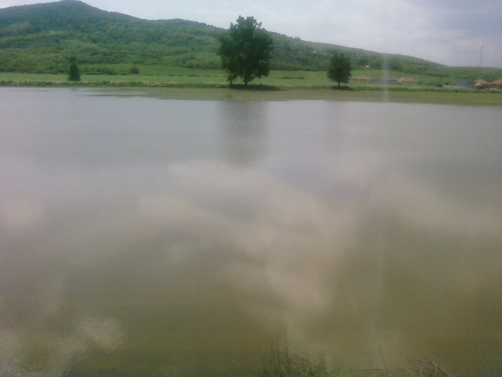 Tisza