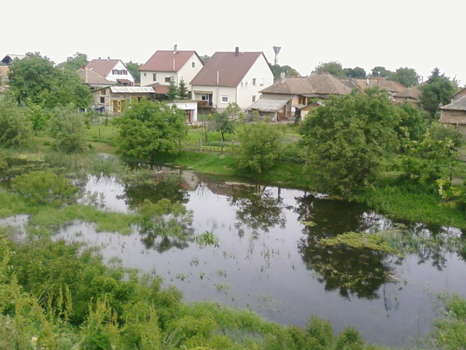 Szendrőlád