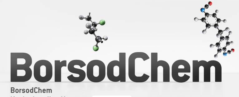 A BorsodChem további növekedése várható A BorsodChem