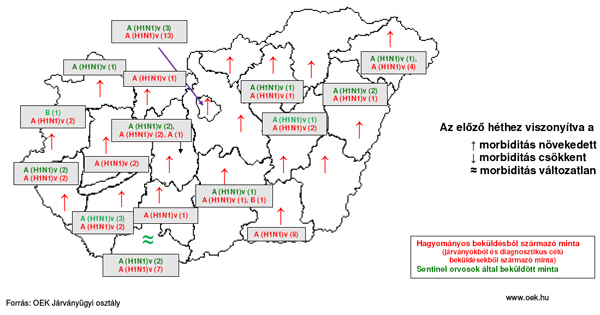 Morbiditási adatok influenza