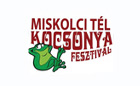 Miskolc egyik legnagyobb fesztiválja kezdődik