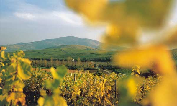 40.Tokaji Írótábor