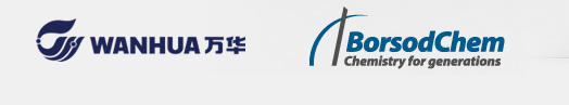 A Wanhua-BorsodChemben 
