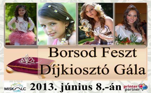 Borsod Feszt 2013-ban