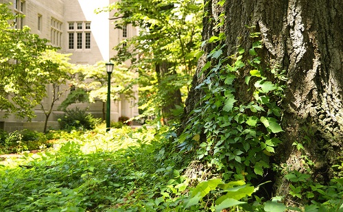 “Green and Smart Campust” terveznek Miskolcra  