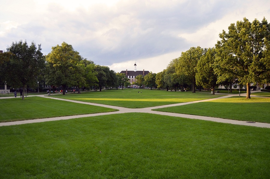 Zöld felület egy campuson